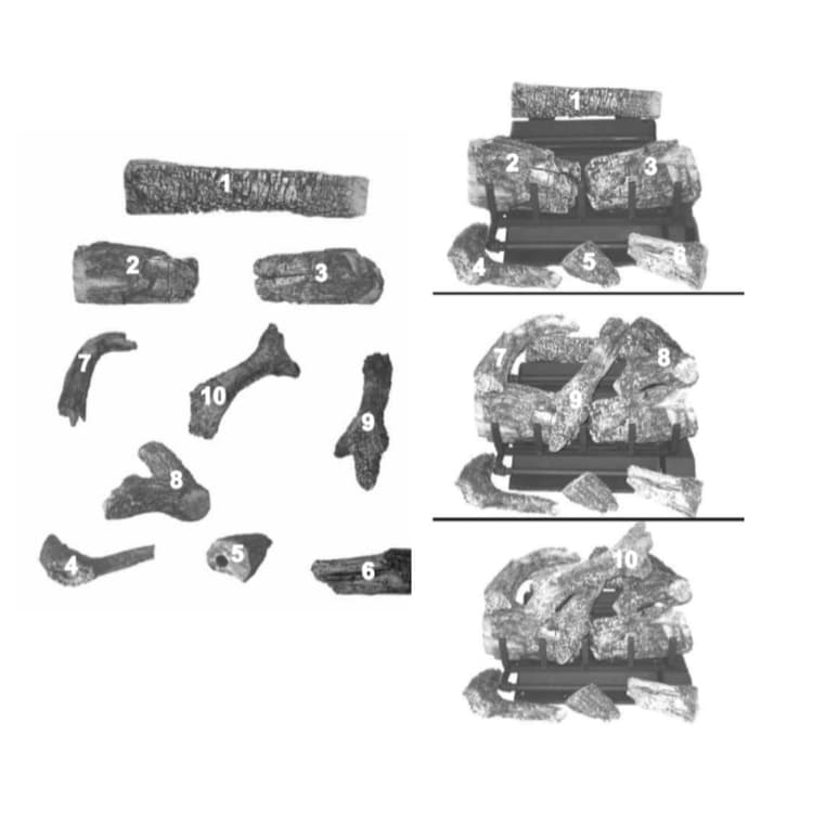 GO318-IPI-NG/LP Log Set Assembly