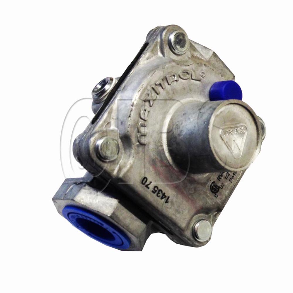 SRV24D0306 Regulator-Lp 10+ Service