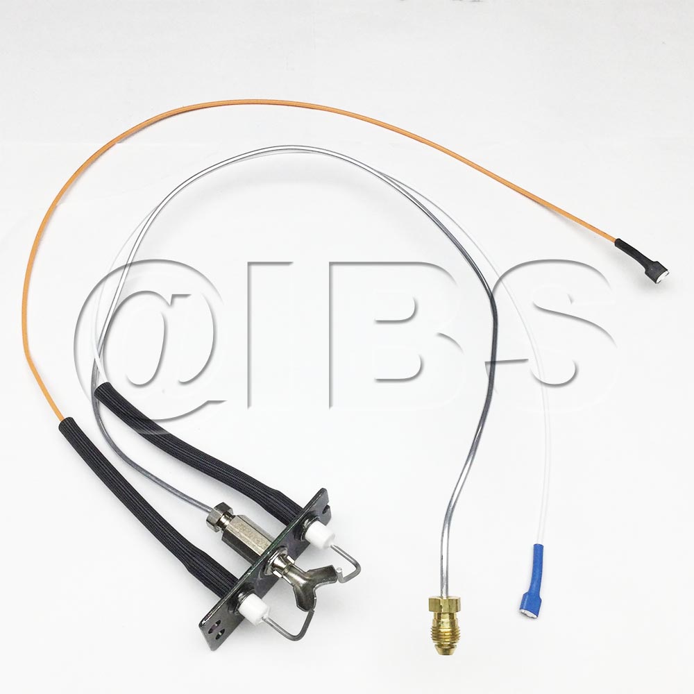 68555MON Pilot Assembly Ng