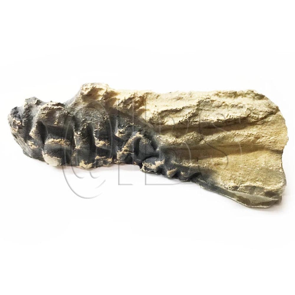 20005007 Log V41 Right Uvs27