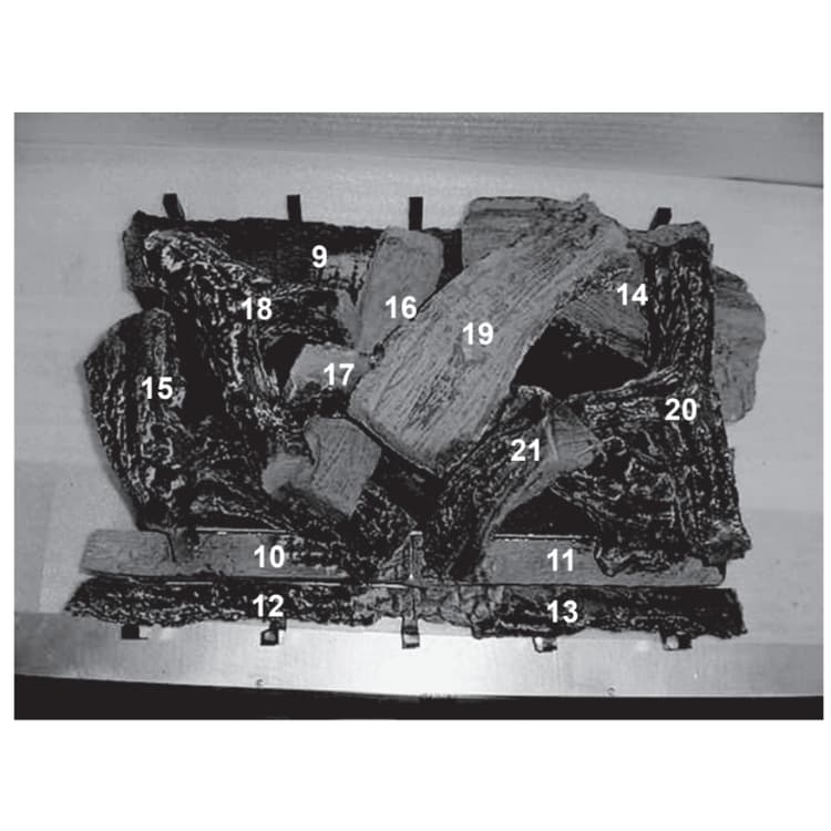 ST-CFL-24-NG-LP Log Set