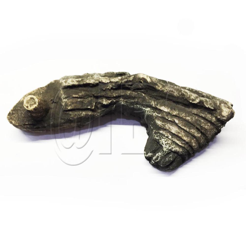 20000990 Log Top Right Uvs27