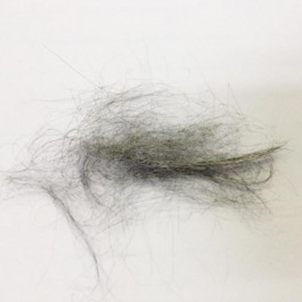 81D2014K Fbe .1G Label Service