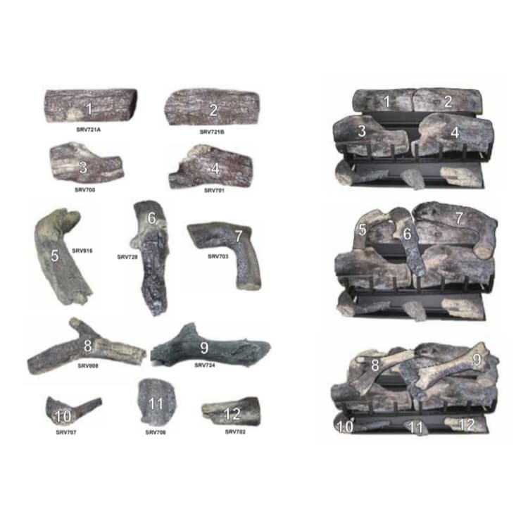 GO330-IPI-NG/LP Log Set Assembly