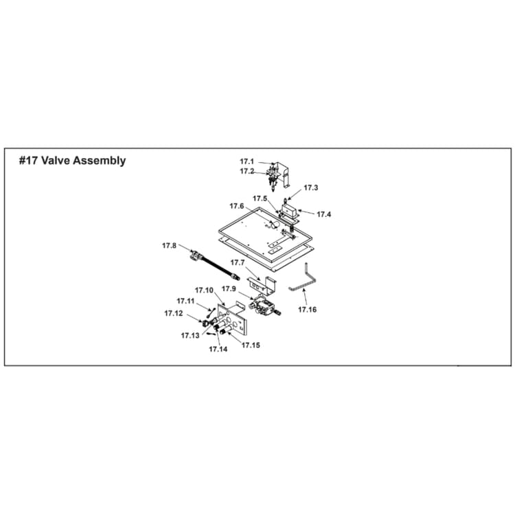 6000TRI-SP #17 Valve Assembly
