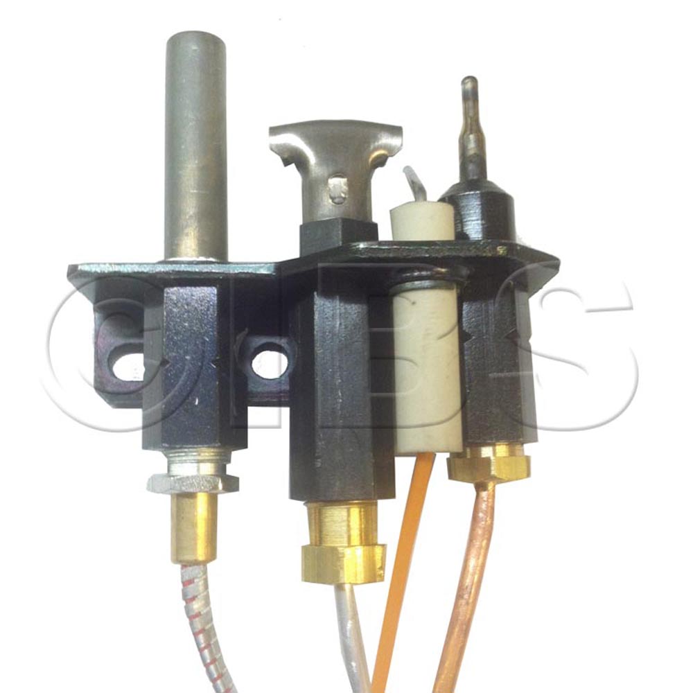 SRV20000540 Pilot Assembly - Nat