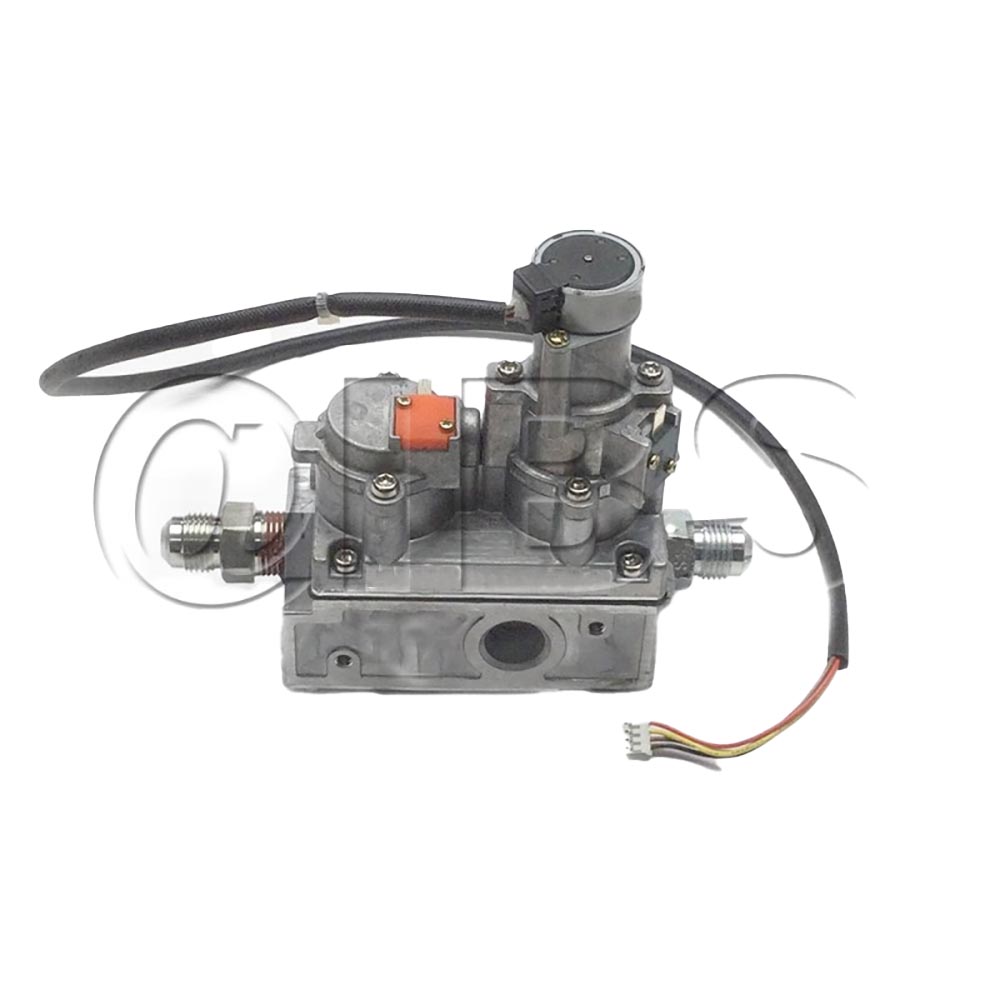77970MON Valve NG